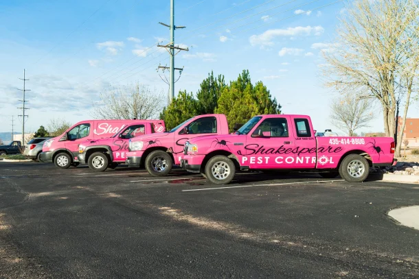 Pink Trucks